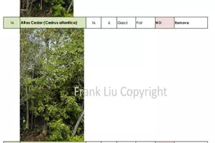 269 Selby Ln, Atherton, CA 94027 - Photo 50