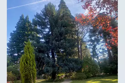 269 Selby Ln, Atherton, CA 94027 - Photo 34