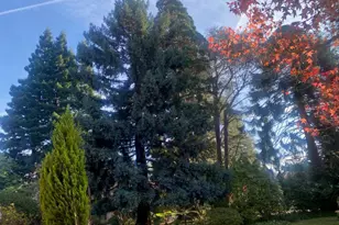 269 Selby Ln, Atherton, CA 94027 - Photo 34