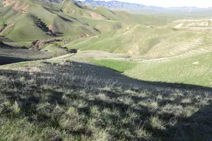 19825 New Idria Rd, Paicines, CA 95043 - Photo 34