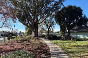 922 Ponselle Ln 3, Capitola, CA 95010 - Photo 20