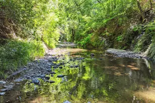 200 Shady Ln, Boulder Creek, CA 95006 - Photo 42