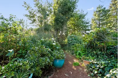 131 Spring St, Santa Cruz, CA 95060 - Photo 34