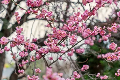 24952 Cypress Ave, Hayward, CA 94544 - Photo 104