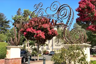 182 Cuesta De Los Gatos, Los Gatos, CA 95032 - Photo 36