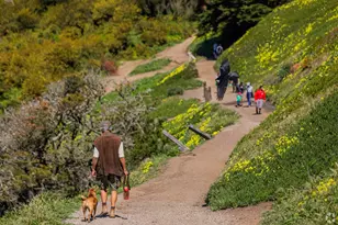 750 Beechwood Dr, Daly City, CA 94015 - Photo 106