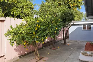 2675 Leeward St, Hayward, CA 94545 - Photo 66