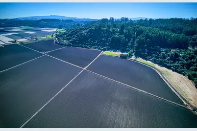 120 San Miguel Canyon Rd, Royal Oaks, CA 95076 - Photo 20