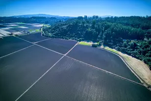 120 San Miguel Canyon Rd, Royal Oaks, CA 95076 - Photo 20