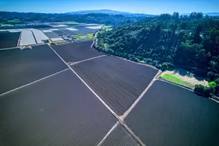 138 San Miguel Canyon Rd, Royal Oaks, CA 95076 - Photo 50