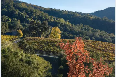 20300 Cachagua Rd, Carmel Valley, CA 93924 - Photo 20