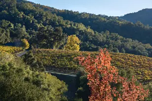 20300 Cachagua Rd, Carmel Valley, CA 93924 - Photo 20