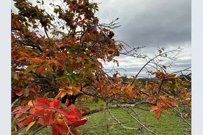 46 Valley View Rd, Watsonville, CA 95076 - Photo 44