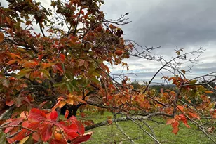 46 Valley View Rd, Watsonville, CA 95076 - Photo 44