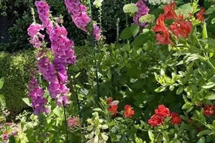 90 Melrose Pl, Redwood City, CA 94062 - Photo 92