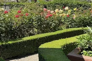 90 Melrose Pl, Redwood City, CA 94062 - Photo 106