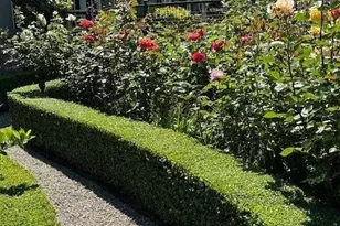 90 Melrose Pl, Redwood City, CA 94062 - Photo 104