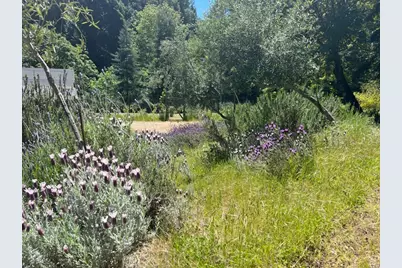 1385 Amaya Ridge Rd, Soquel, CA 95073 - Photo 18