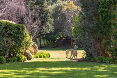 9542 Maple Ct, Carmel, CA 93923 - Photo 22