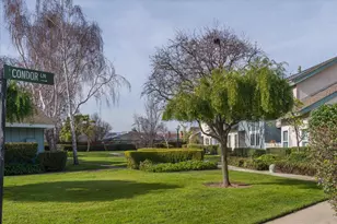 1018 Condor Ln, Foster City, CA 94404 - Photo 26