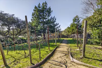 9570 S Century Oak Rd, Prunedale, CA 93907 - Photo 28