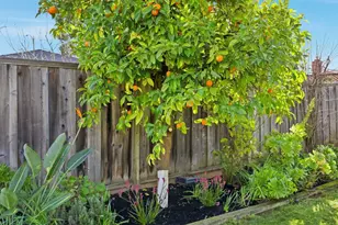 4754 Bannock Cir, San Jose, CA 95130 - Photo 32