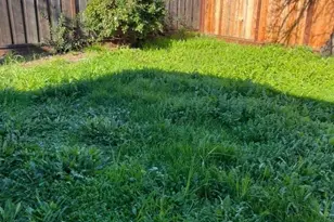 301 Colville Dr, San Jose, CA 95123 - Photo 2