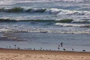 53 Pelican Point, Watsonville, CA 95076 - Photo 24