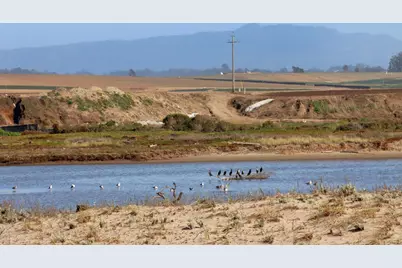 53 Pelican Pt, Watsonville, CA 95076 - Photo 20