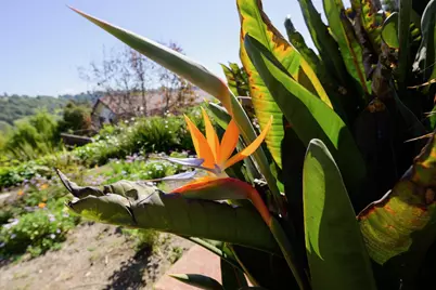 260 Rancho Soquel Rd, Soquel, CA 95073 - Photo 172