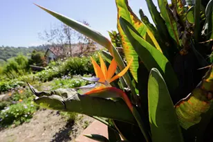 260 Rancho Soquel Rd, Soquel, CA 95073 - Photo 172