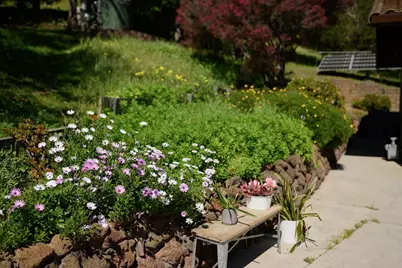 260 Rancho Soquel Rd, Soquel, CA 95073 - Photo 170