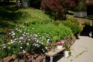 260 Rancho Soquel Rd, Soquel, CA 95073 - Photo 170