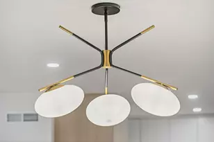 263 Vineyard Dr, San Jose, CA 95119 - Photo 20