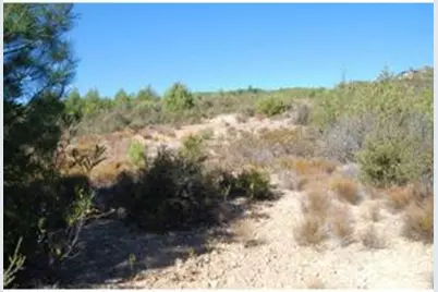 0 Croy Rd, Morgan Hill, CA 95037 - Photo 6