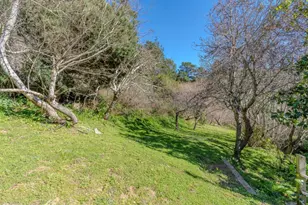 2 Valleywood Ct, Pacifica, CA 94044 - Photo 54