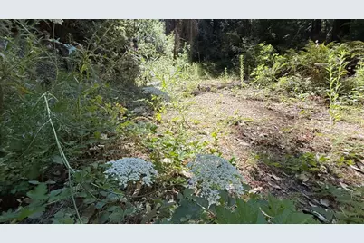 15645 Stetson Rd, Los Gatos, CA 95033 - Photo 8