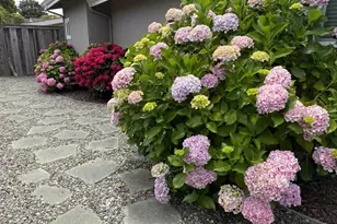 522 Spruce St, Aptos, CA 95003 - Photo 34