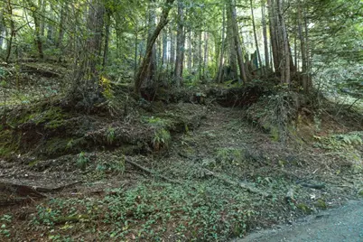 0 Pringle Ln, Soquel, CA 95073 - Photo 10