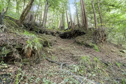 0 Pringle Ln, Soquel, CA 95073 - Photo 22