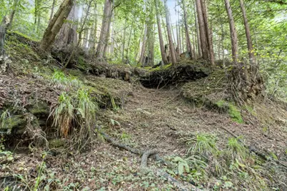 0 Pringle Ln, Soquel, CA 95073 - Photo 20