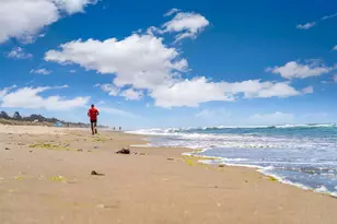 101 Shell Dr 3, Watsonville, CA 95076 - Photo 32