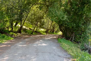 6834 Rockview Ct, San Jose, CA 95120 - Photo 42