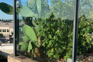 102 University Ave 3A 3B 3C, Palo Alto, CA 94301 - Photo 26