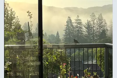 118 Merion Ter, Moraga, CA 94556 - Photo 40