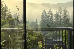 118 Merion Terrace, Moraga, CA 94556 - Photo 40