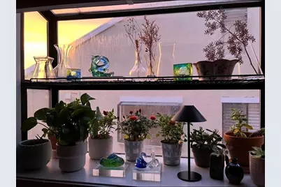 118 Merion Ter, Moraga, CA 94556 - Photo 44