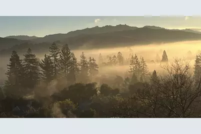 118 Merion Ter, Moraga, CA 94556 - Photo 38