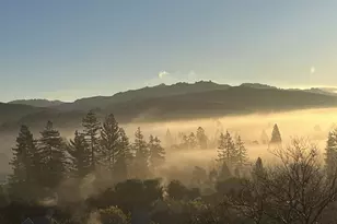 118 Merion Terrace, Moraga, CA 94556 - Photo 38