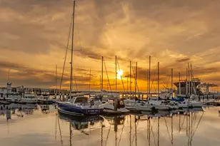 311 Oak St Ph4, Oakland, CA 94607 - Photo 46